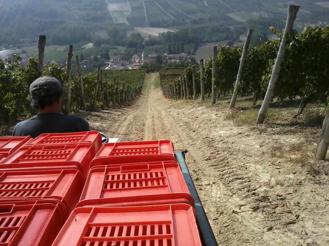 Tenuta Calabiana Diano dʼAlba Buitenkant foto